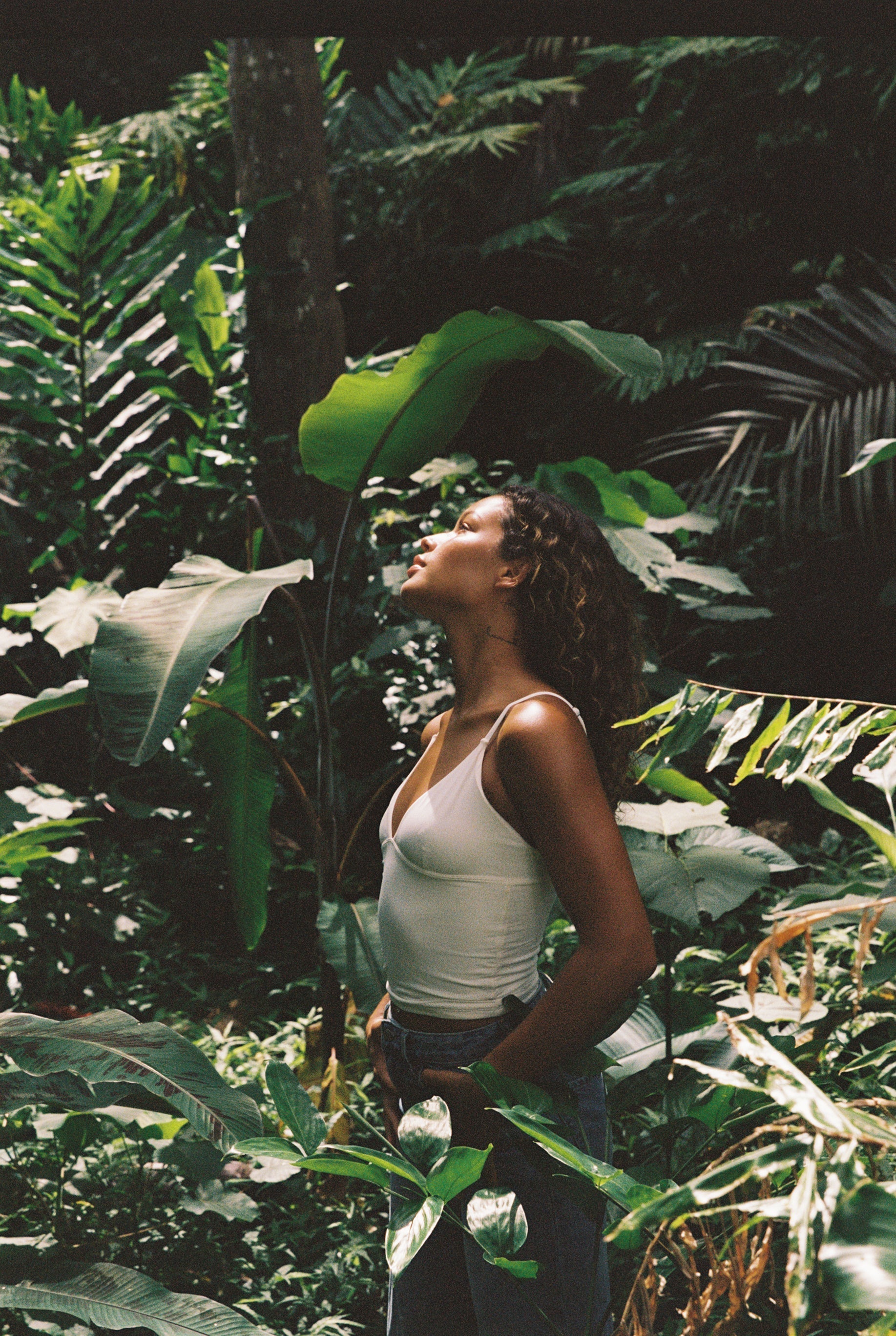 Good Beauty Model in Jungle