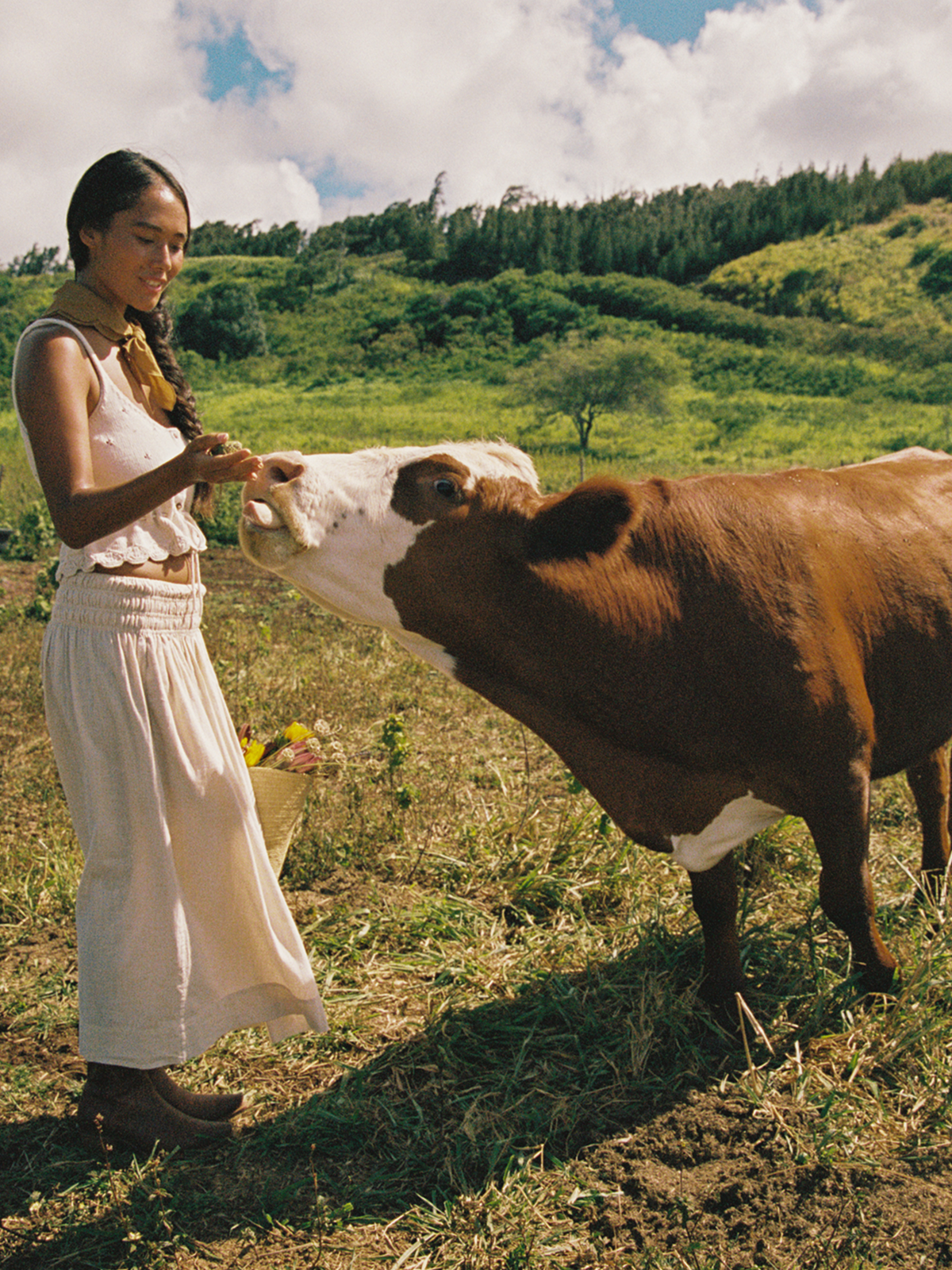 Is Tallow Good for Your Face? Benefits, Myths, and What to Know